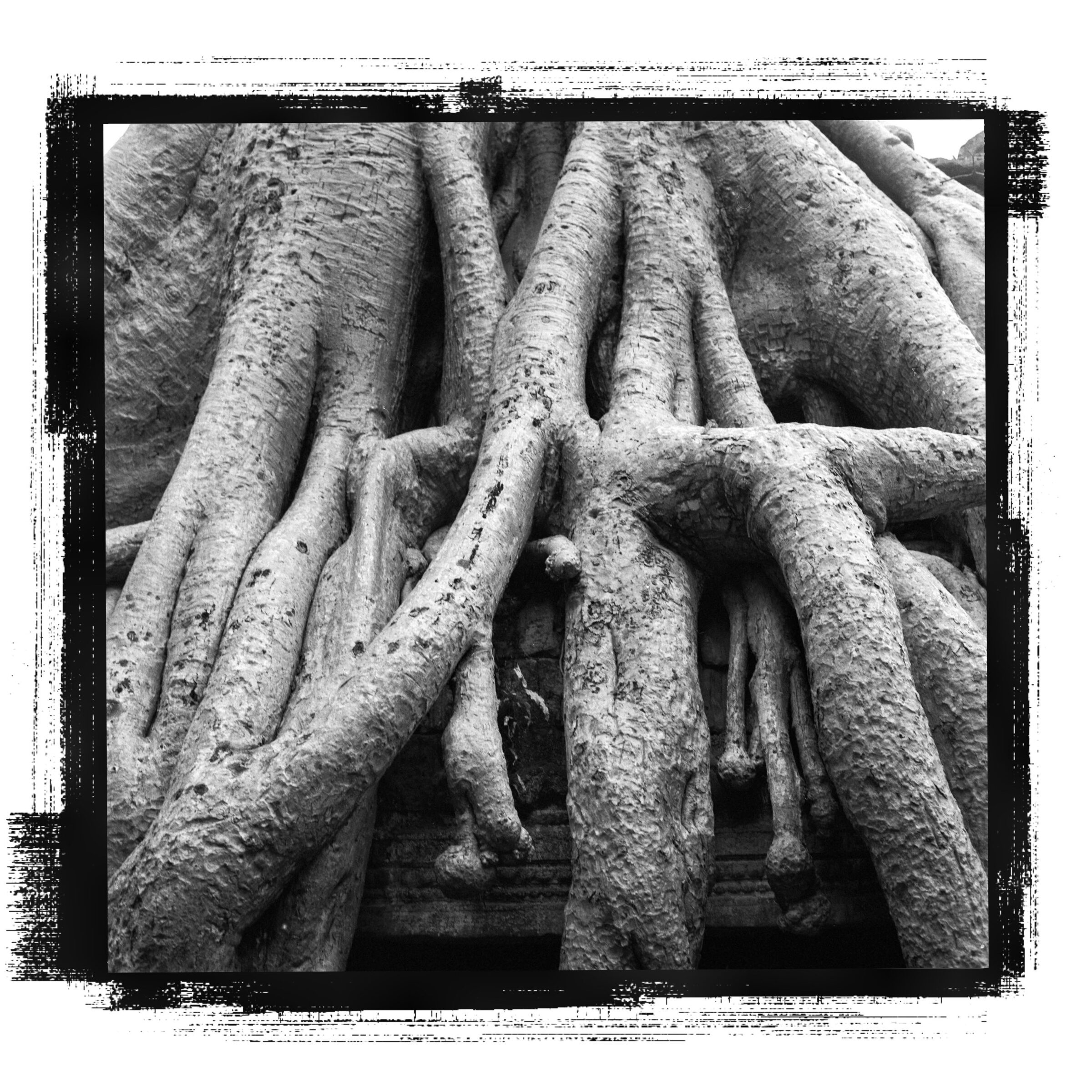 Cambodge — 11
