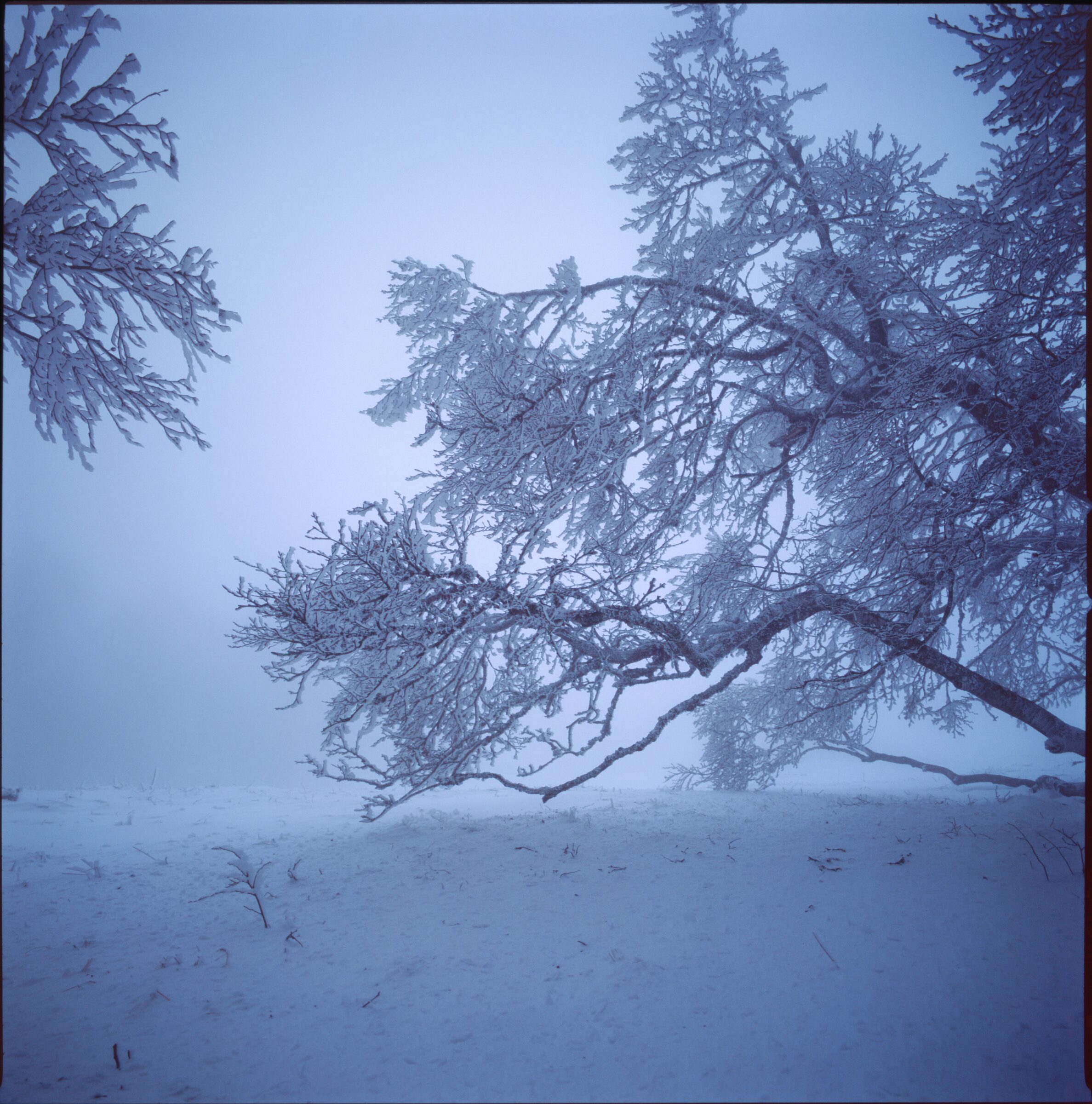 Franche-Comté, hiver — 25