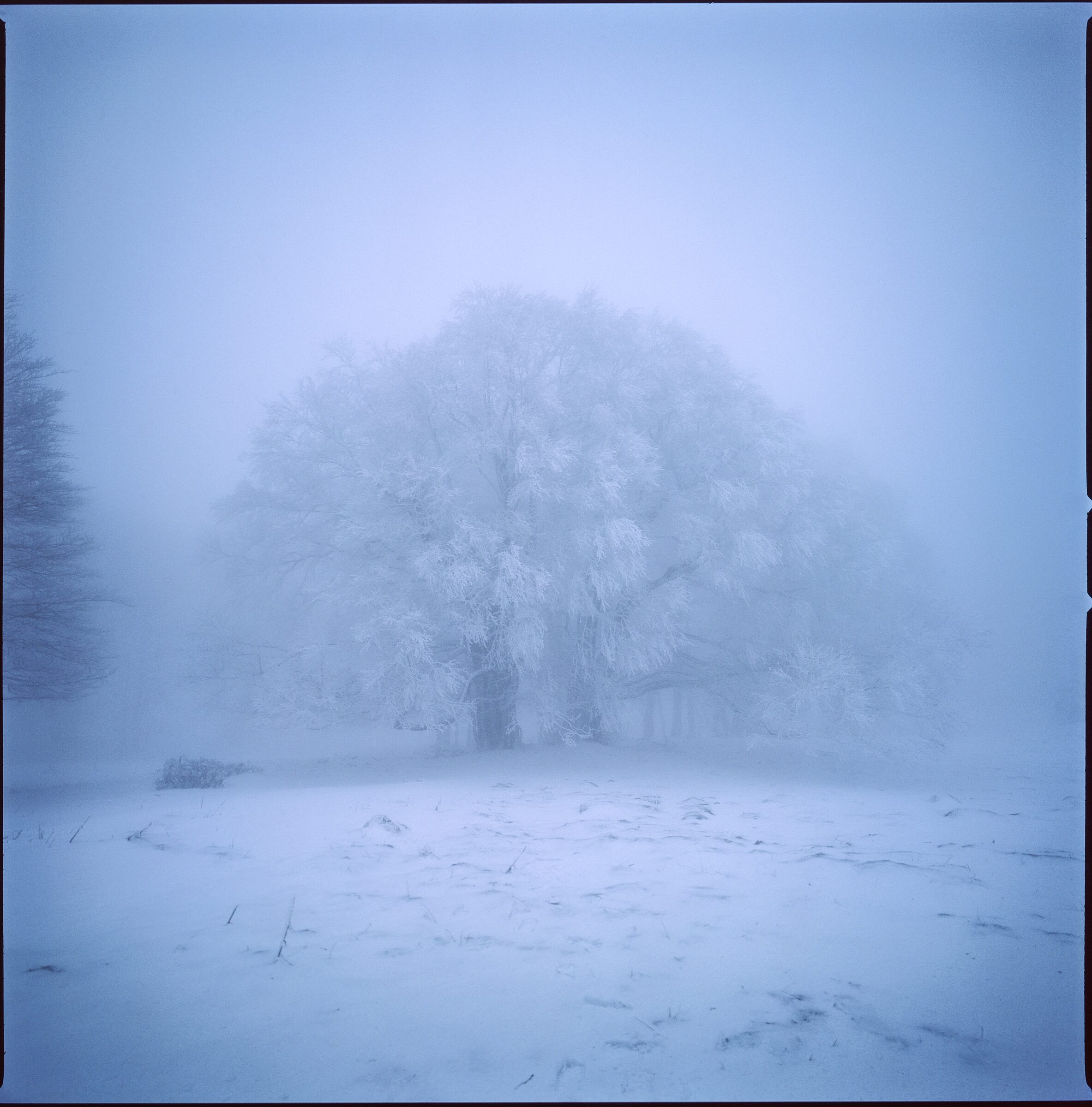Franche-Comté, hiver