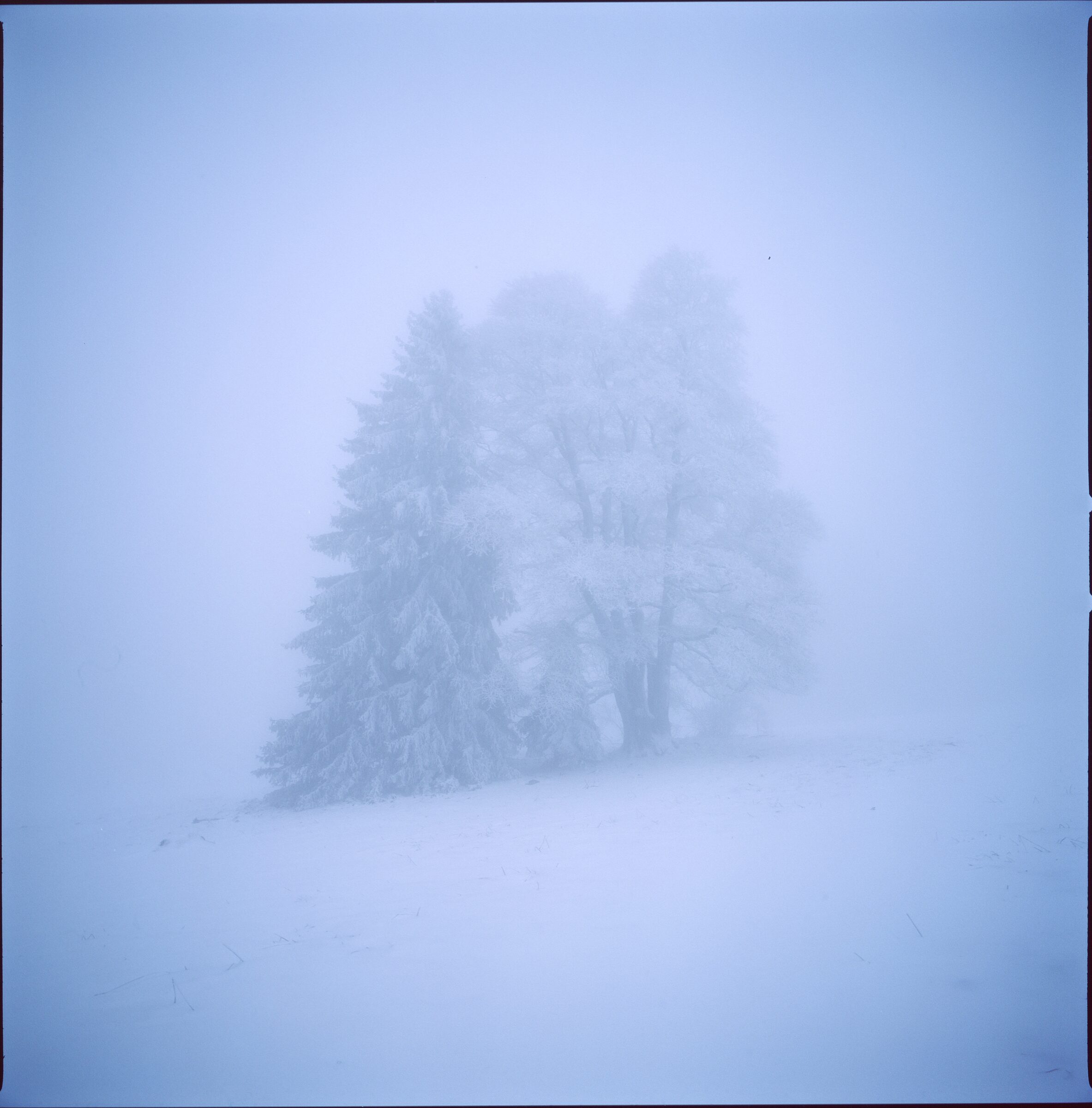 Franche-Comté, hiver — 6