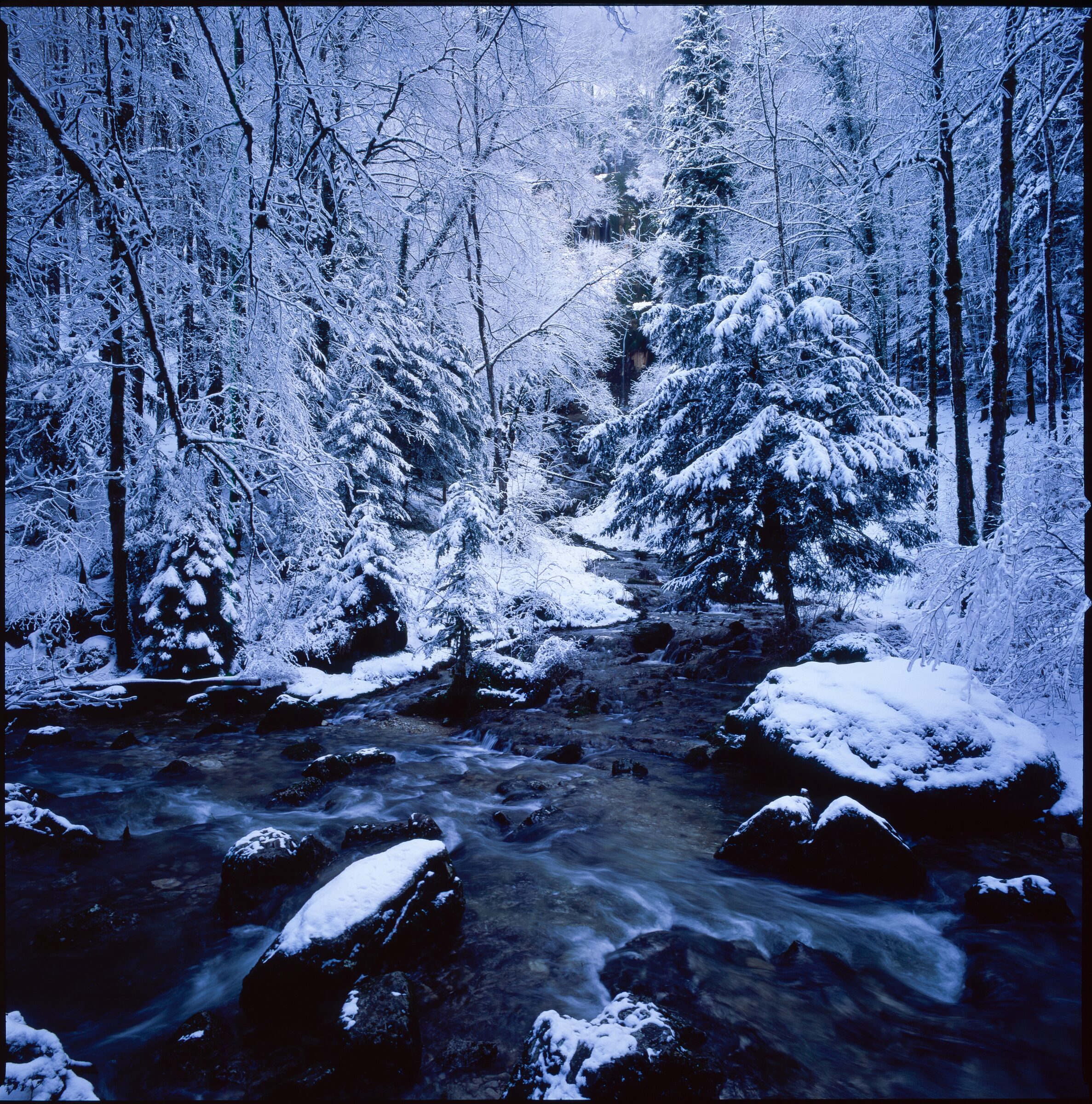 Franche-Comté, hiver — 8